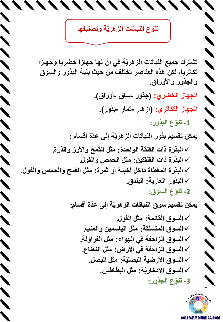 تنوّع-النباتات-الزهريّة-وتصنيفها