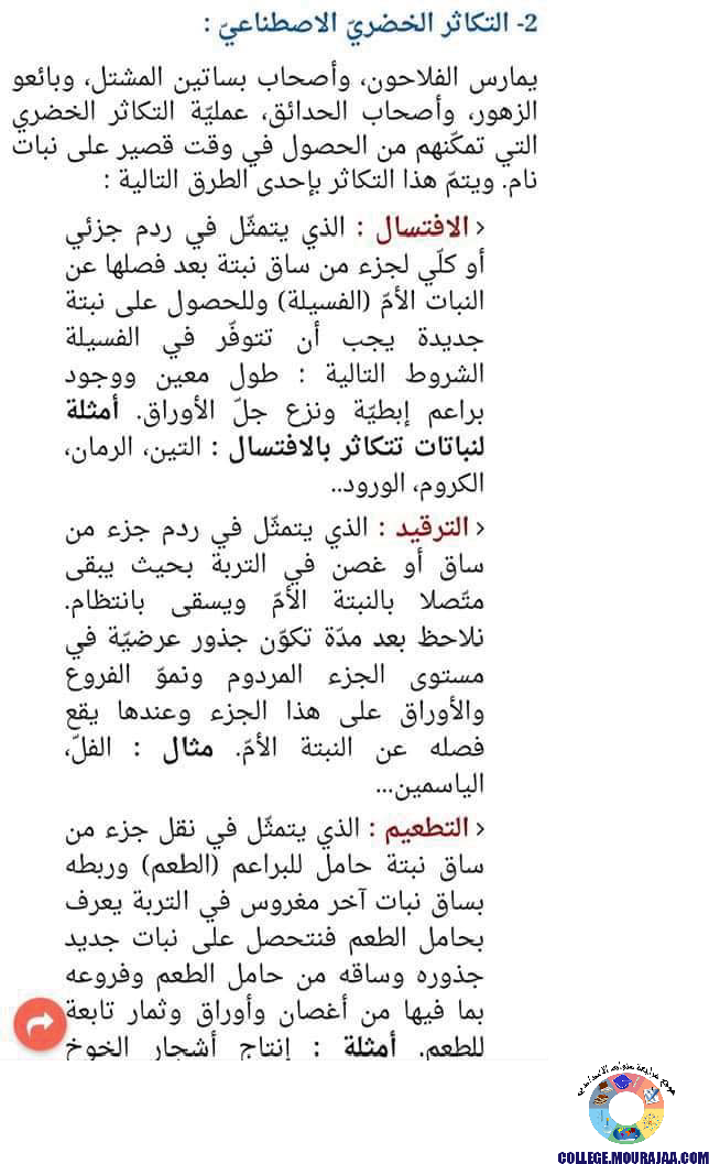 التكاثر_الجنسي_عند_النبات_الزهري