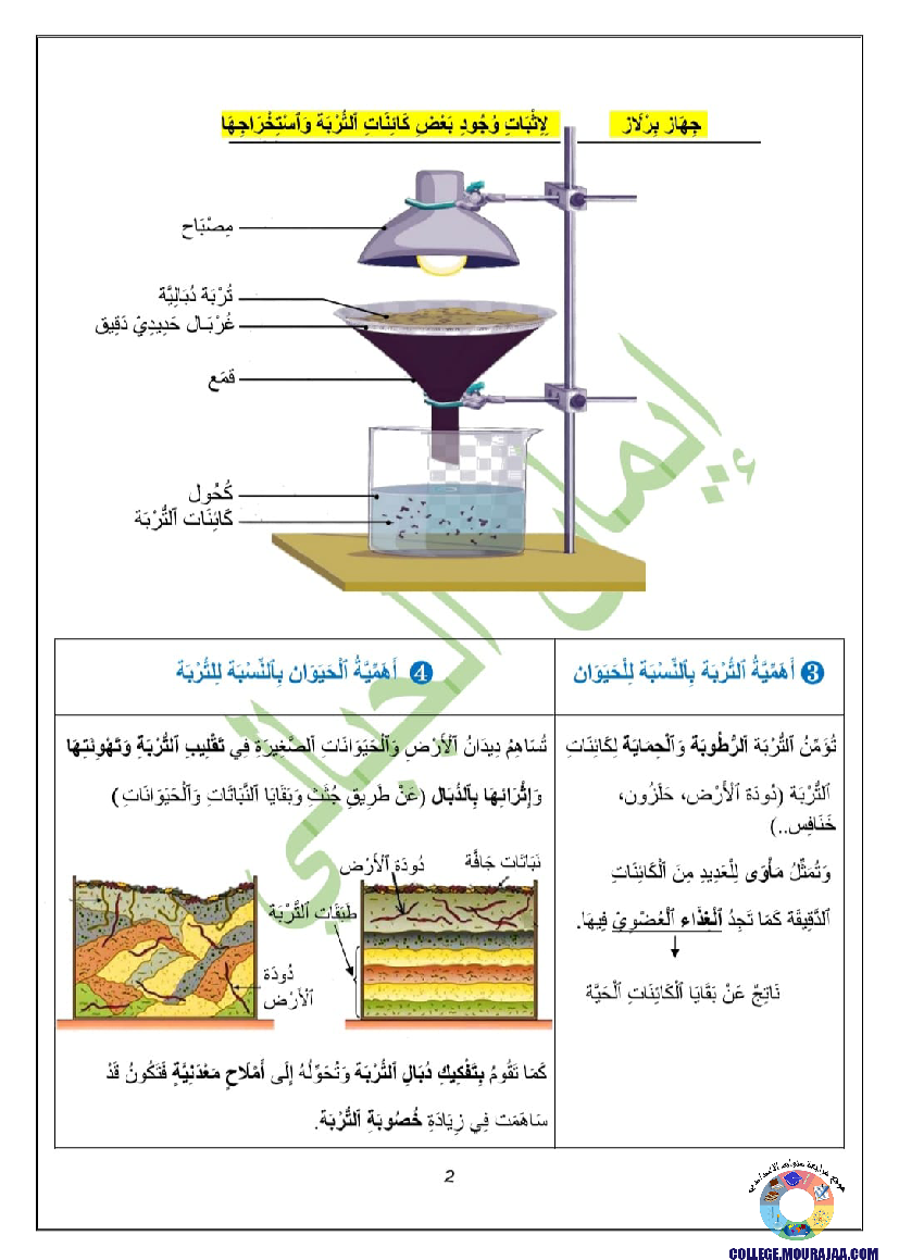 التربة و علاقتها بالكائنات الحية
