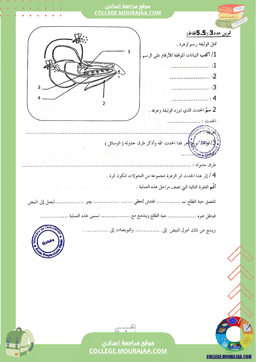 الفرض التأليفي الثاني في مادة علوم الحياةوالأرض للسنوات الثامنة نموذجي