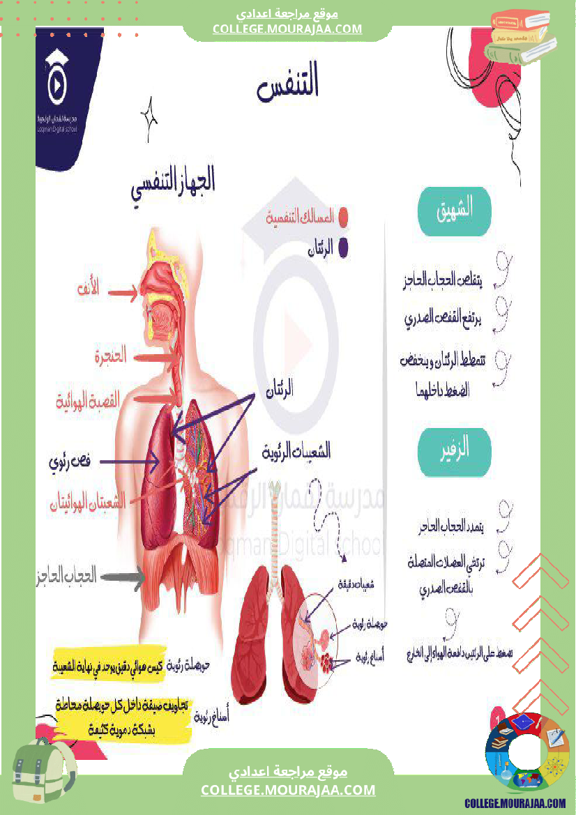 تلاميذ_السنة_التاسععة_ملخص_درس