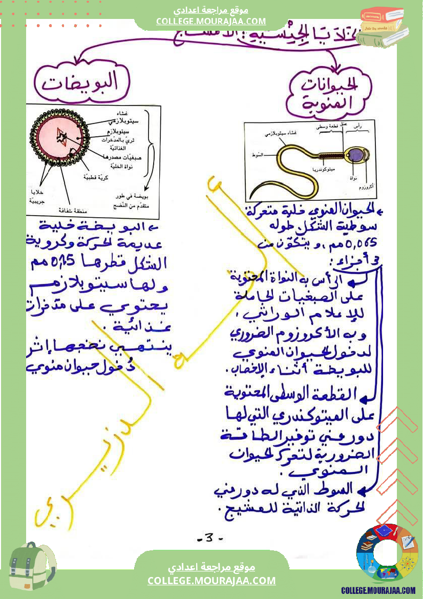 وثائق مهمة في مادة علوم الحياة والأرض للسنوات التاسعة نموذجي