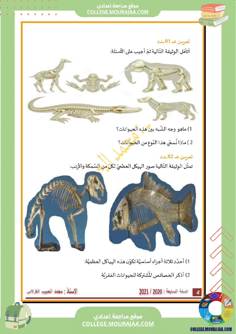 السنة السابعة تنو ع الفقريات