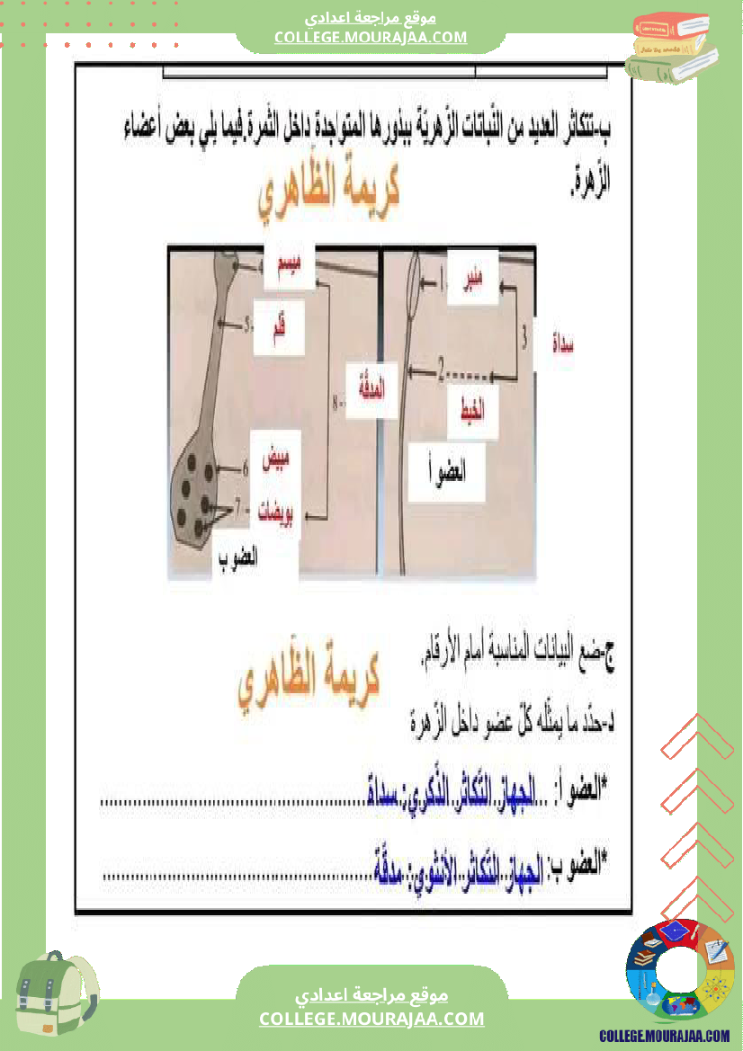 ثامنة_أساسي_فرض_مراقبة_عدد_2_علوم_الحياة_والأرض