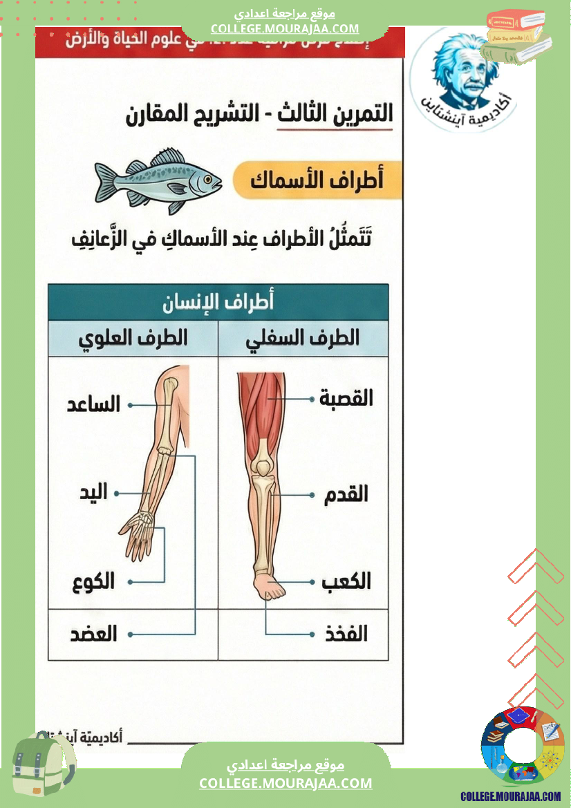 فرض مراقبة عدد 2 سنة ثامنة علوم الحياة والأرض الثلاثي الثاني