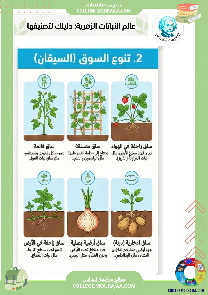 ملخصات دروس علوم الحياة والأرض تنو ع النباتات الزهري ة وتصنيفها ا الثلاثي الثاني السنة ا