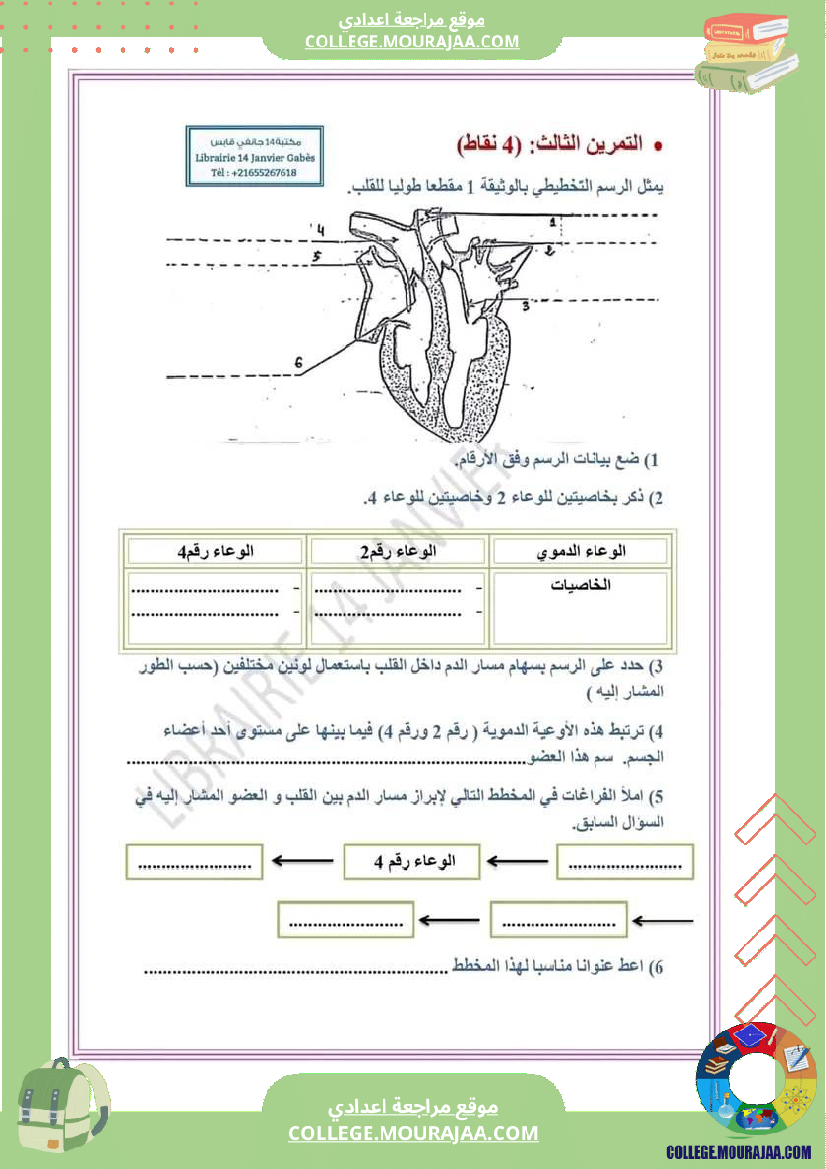 فرض_تأليفي_عدد2_في_العلوم_الحياة_و_تاسعة_أساسي