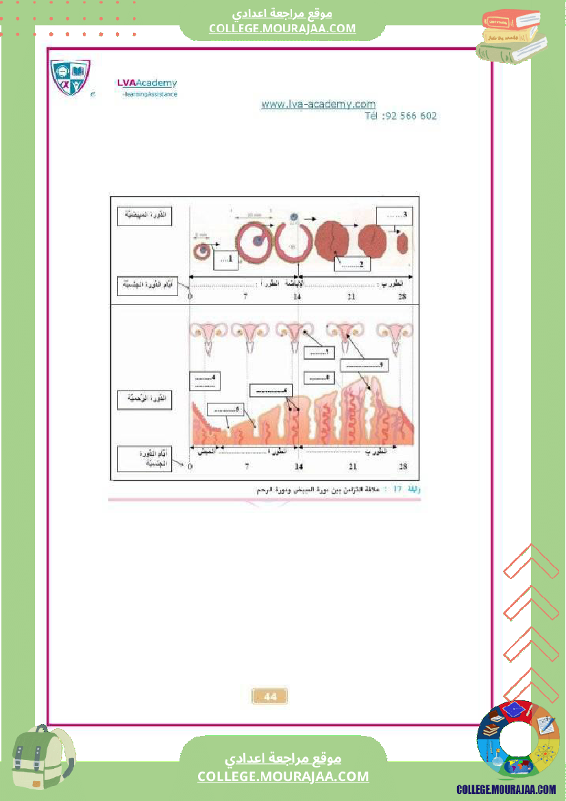 درس_الدورة_الجنسية_عند_المرأة_تاسعة_علوم