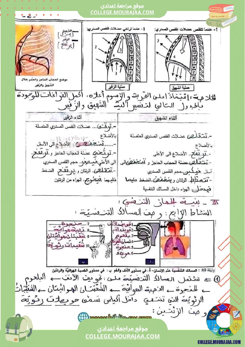 سنة_تاسعة_تلخيص_علوم_حياة_و_الارض