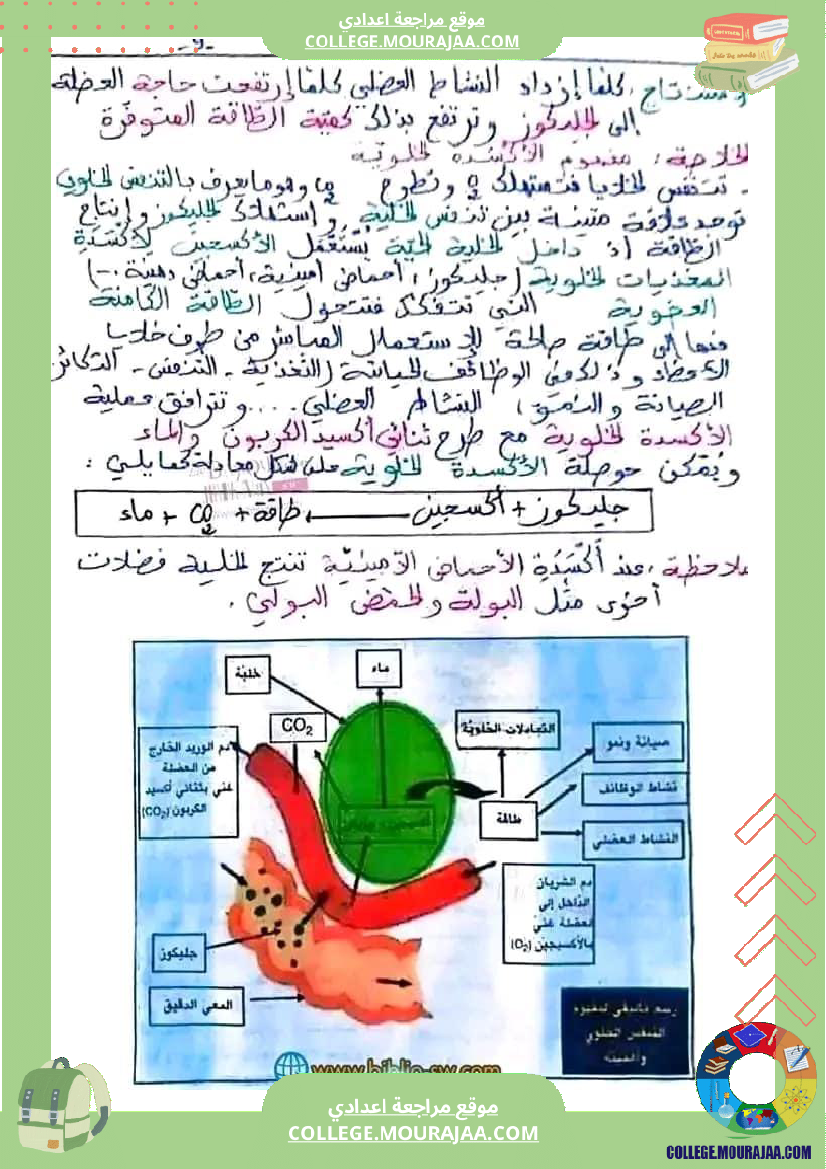 سنة_تاسعة_تلخيص_علوم_حياة_و_الارض