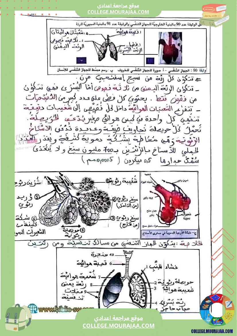 سنة_تاسعة_تلخيص_علوم_حياة_و_الارض