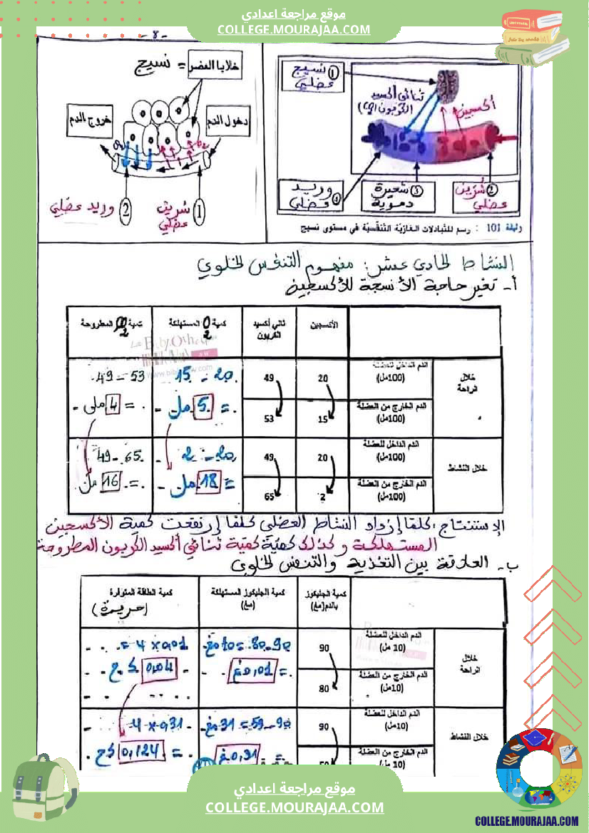 سنة_تاسعة_علوم_حياة_والأرض