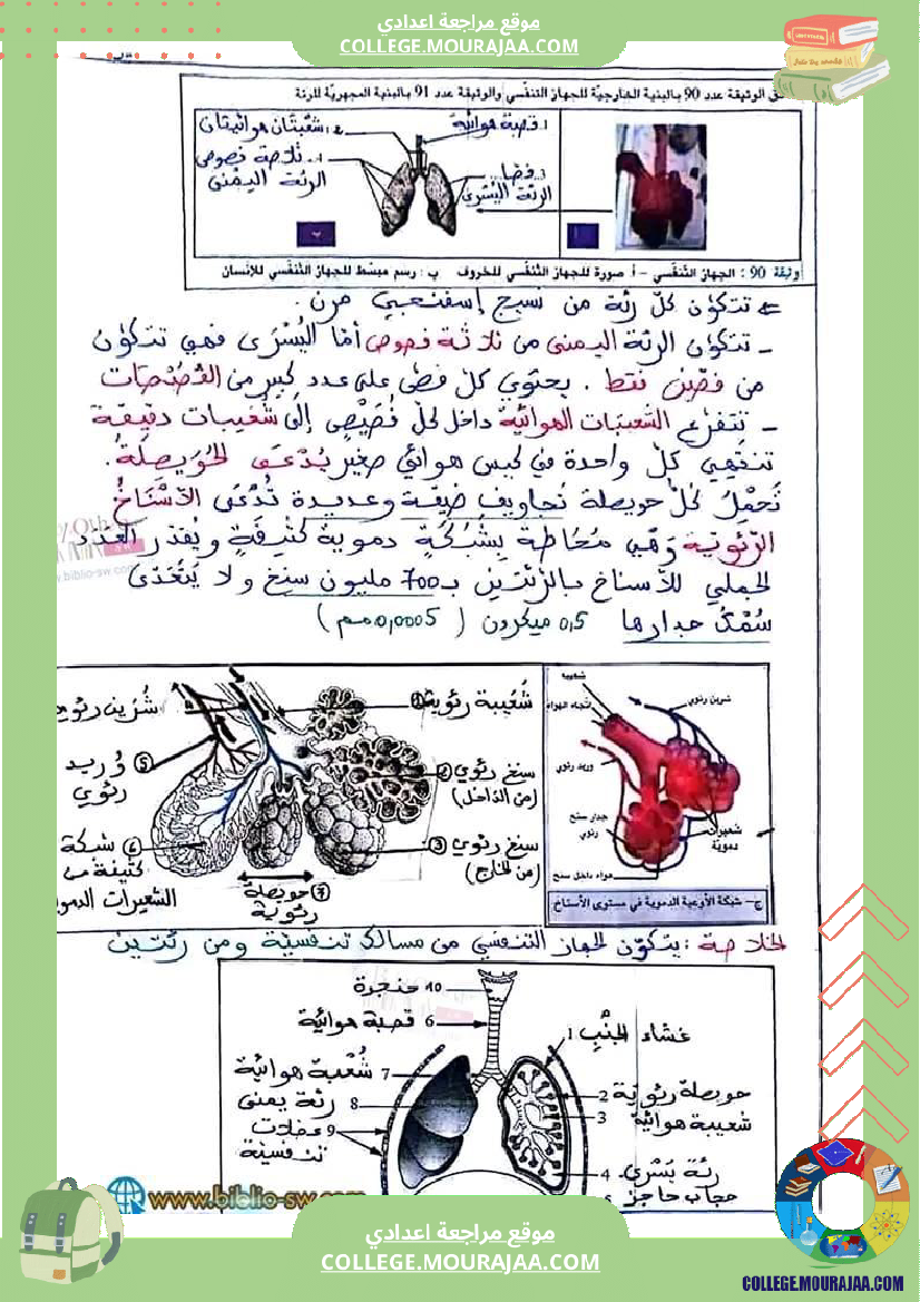 سنة_تاسعة_علوم_حياة_والأرض