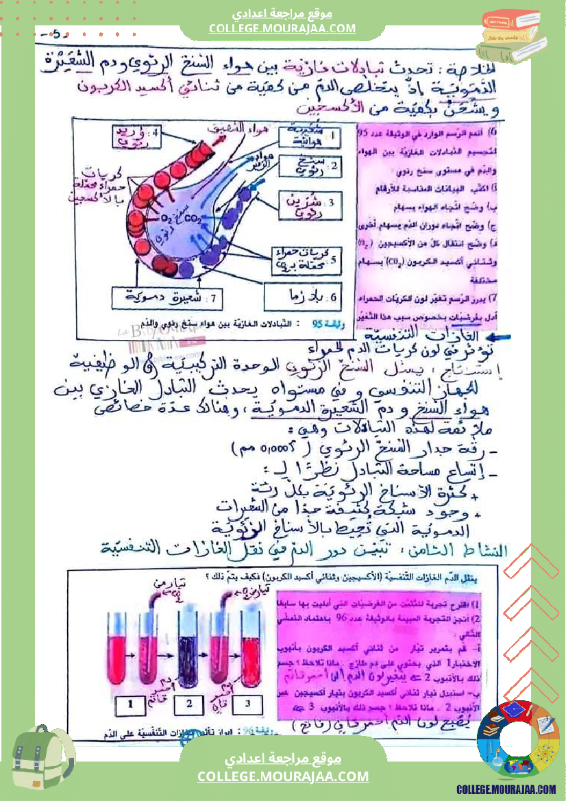 سنة_تاسعة_علوم_حياة_والأرض