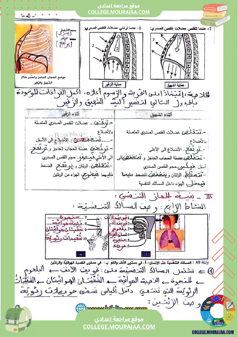 سنة_تاسعة_علوم_حياة_والأرض
