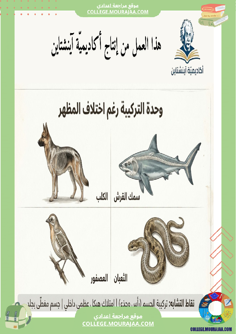 تنو ع الفقري ات وتصنيفها ملخصات دروس علوم الحياة