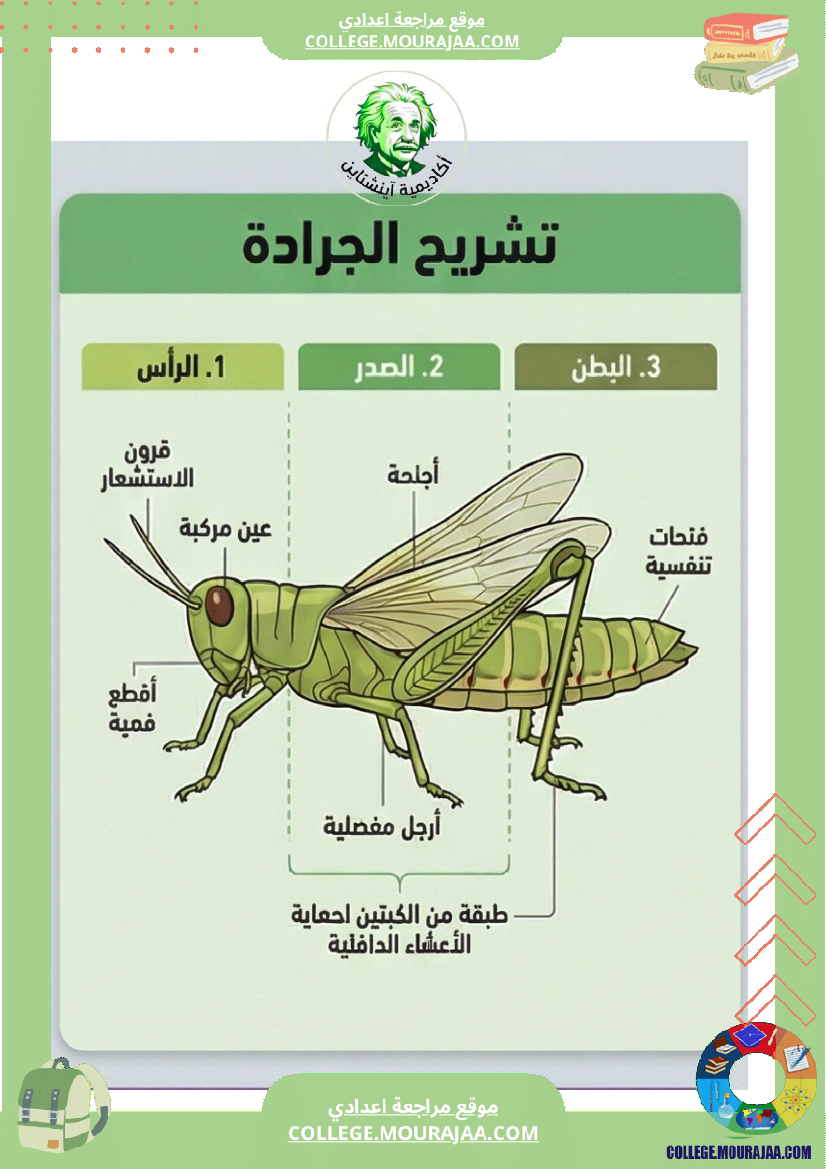 ملخصات دروس علوم الحياة والأرض ا الثلاثي الثاني السنة السابعة أساسي