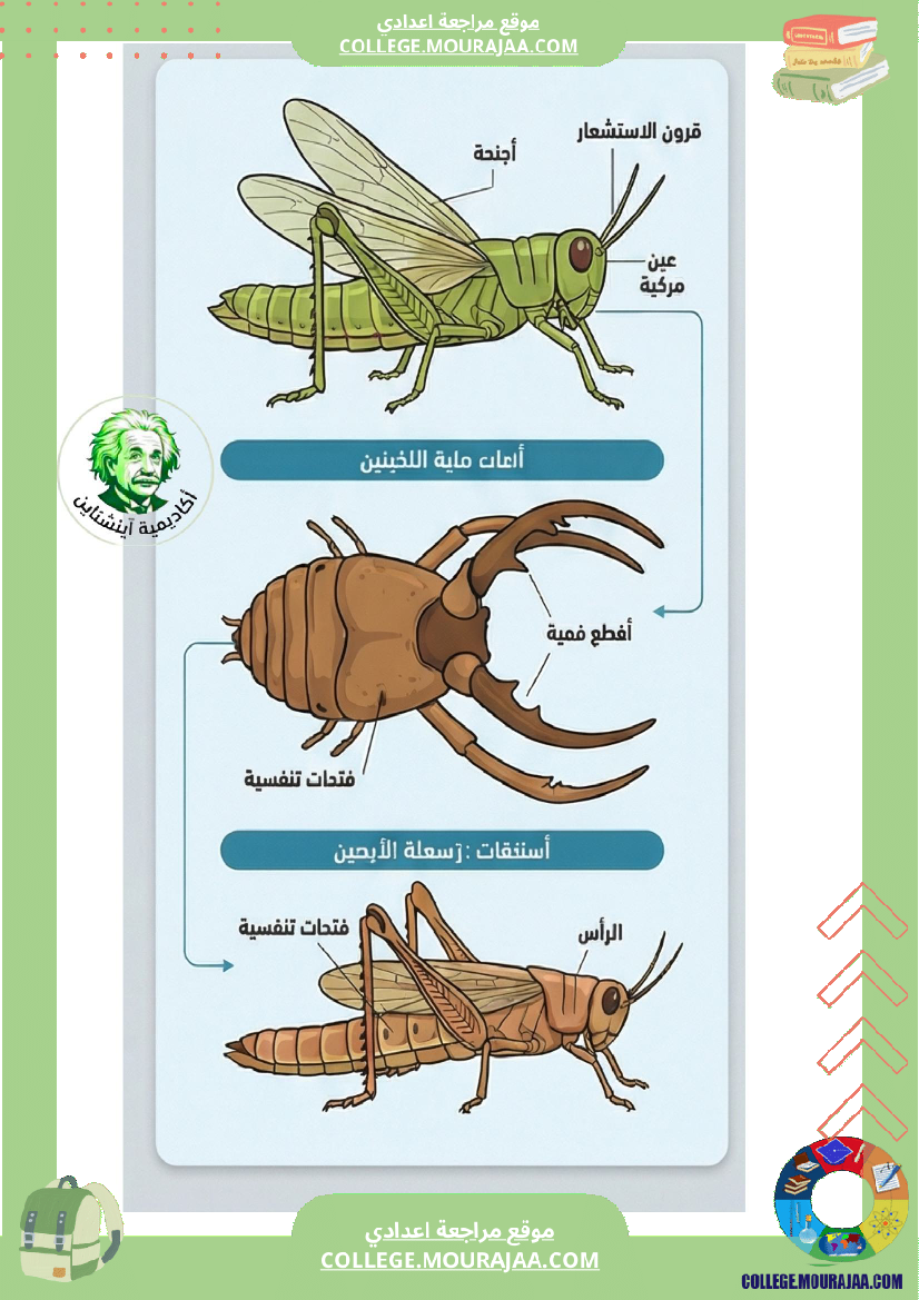 ملخصات دروس علوم الحياة والأرض ا الثلاثي الثاني السنة السابعة أساسي