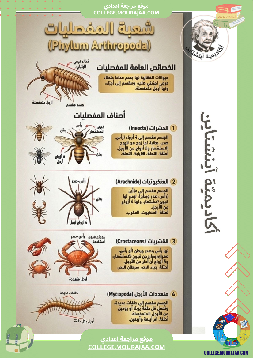 ملخصات دروس علوم الحياة والأرض السنة السابعة أساسي