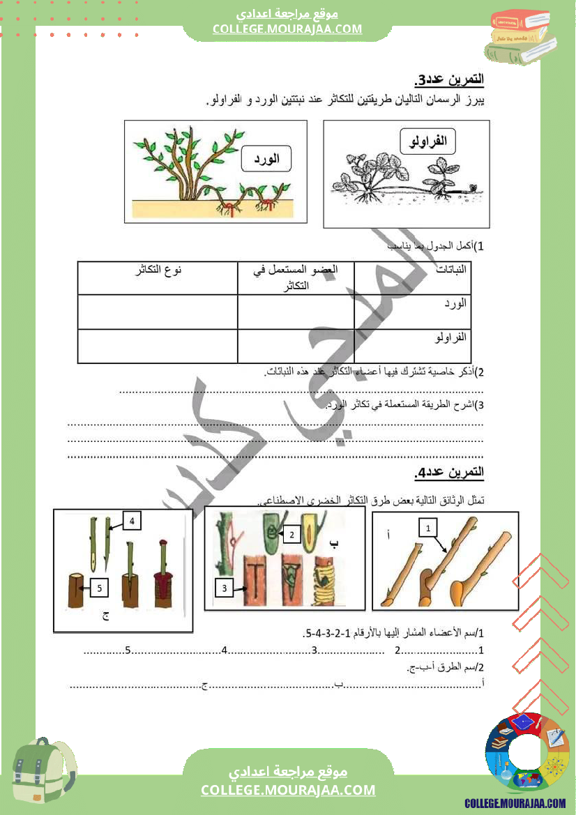 الثامنة أساسي علوم الحياة والأرض سلسلة التكاثرالخضري والتكاثر الجنسي
