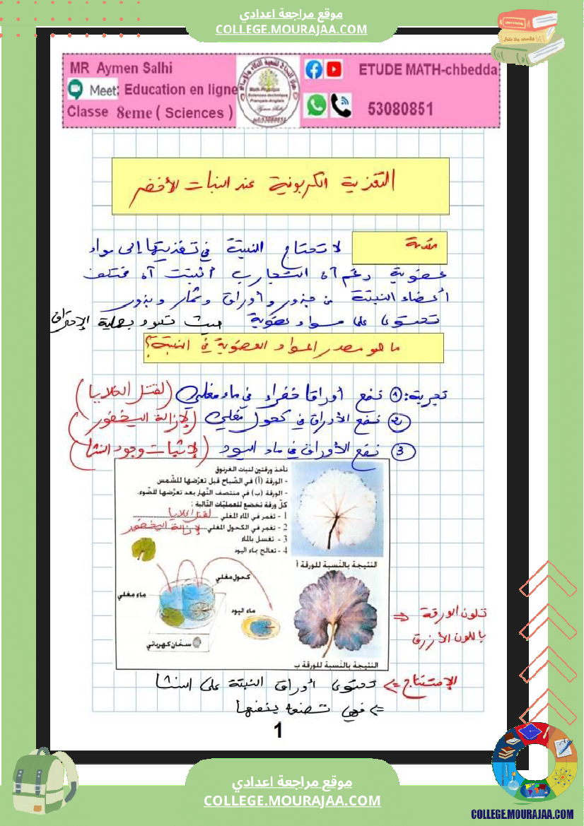 الثامنة نموذجي علوم الحياة و الارض التبادل الغازي عند النبات الاخضر