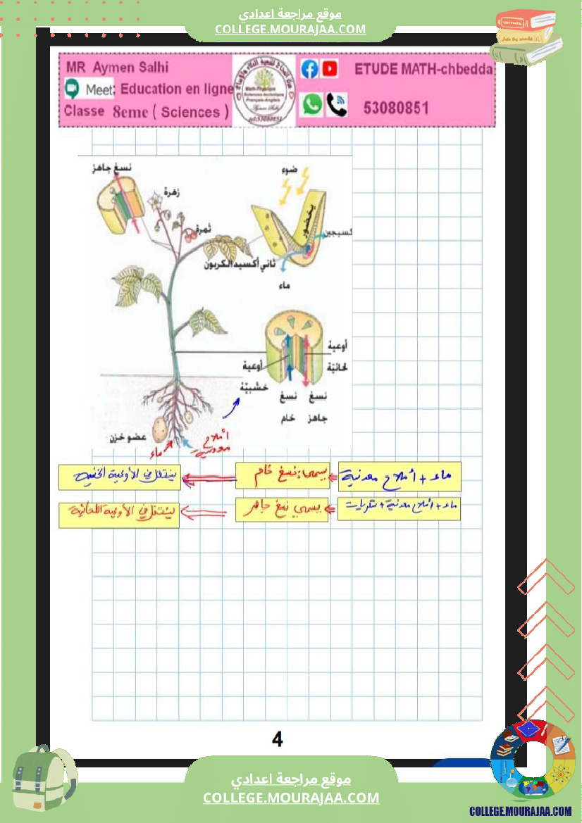 علوم الحياة و الأرض الثامنة أساسي التغذية الكربونية التكاثر الخضري عند النبات الزهري