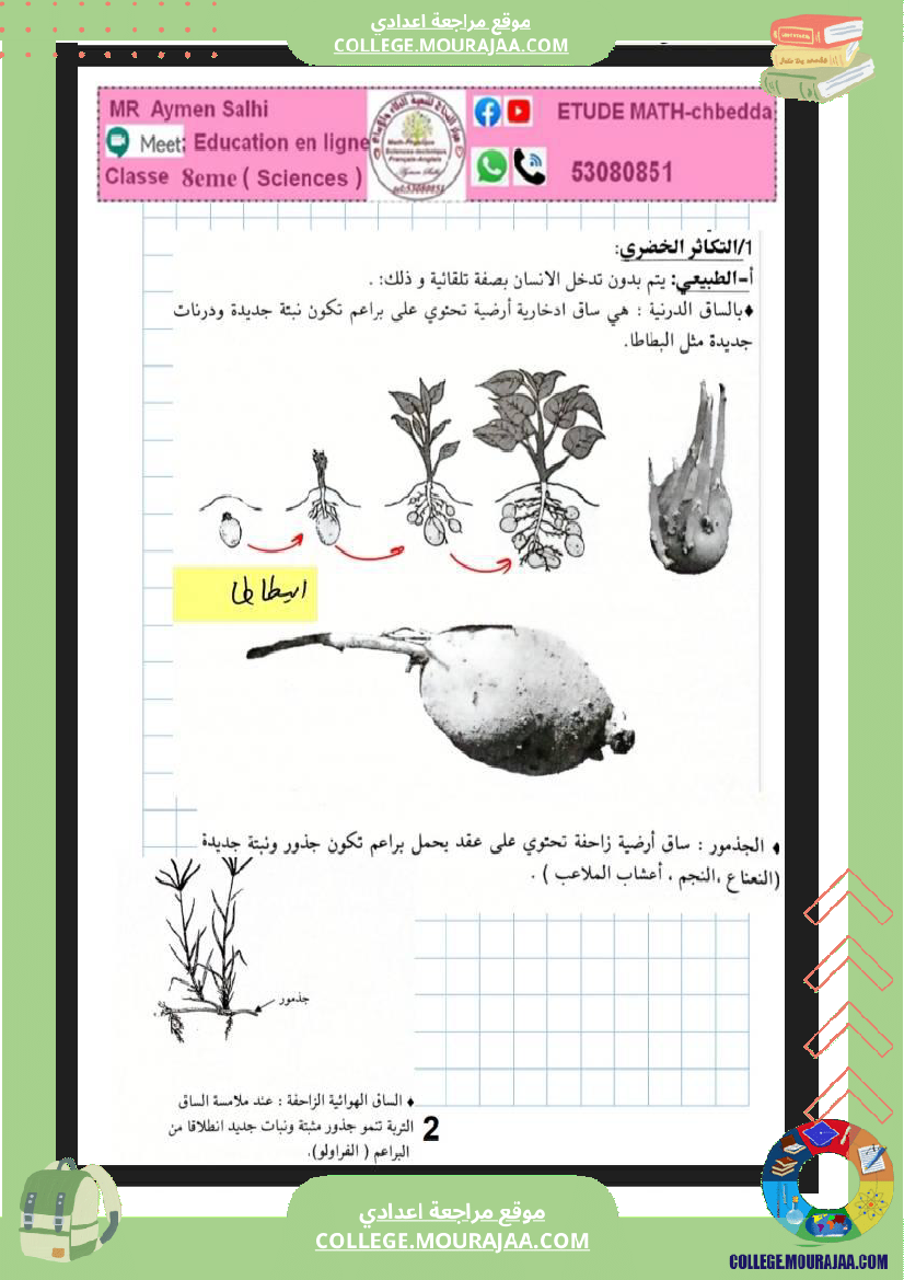 علوم الحياة و الأرض الثامنة أساسي التغذية الكربونية التكاثر الخضري عند النبات الزهري