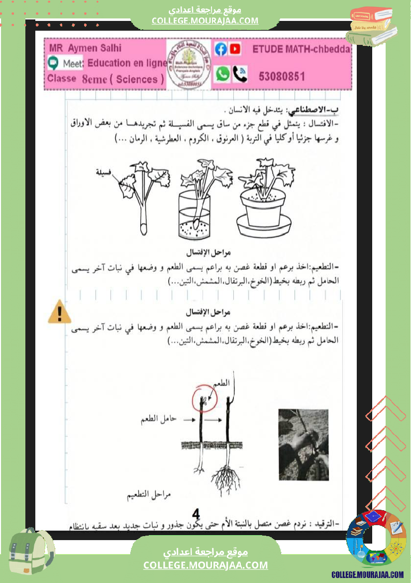 علوم الحياة و الأرض الثامنة أساسي التغذية الكربونية التكاثر الخضري عند النبات الزهري