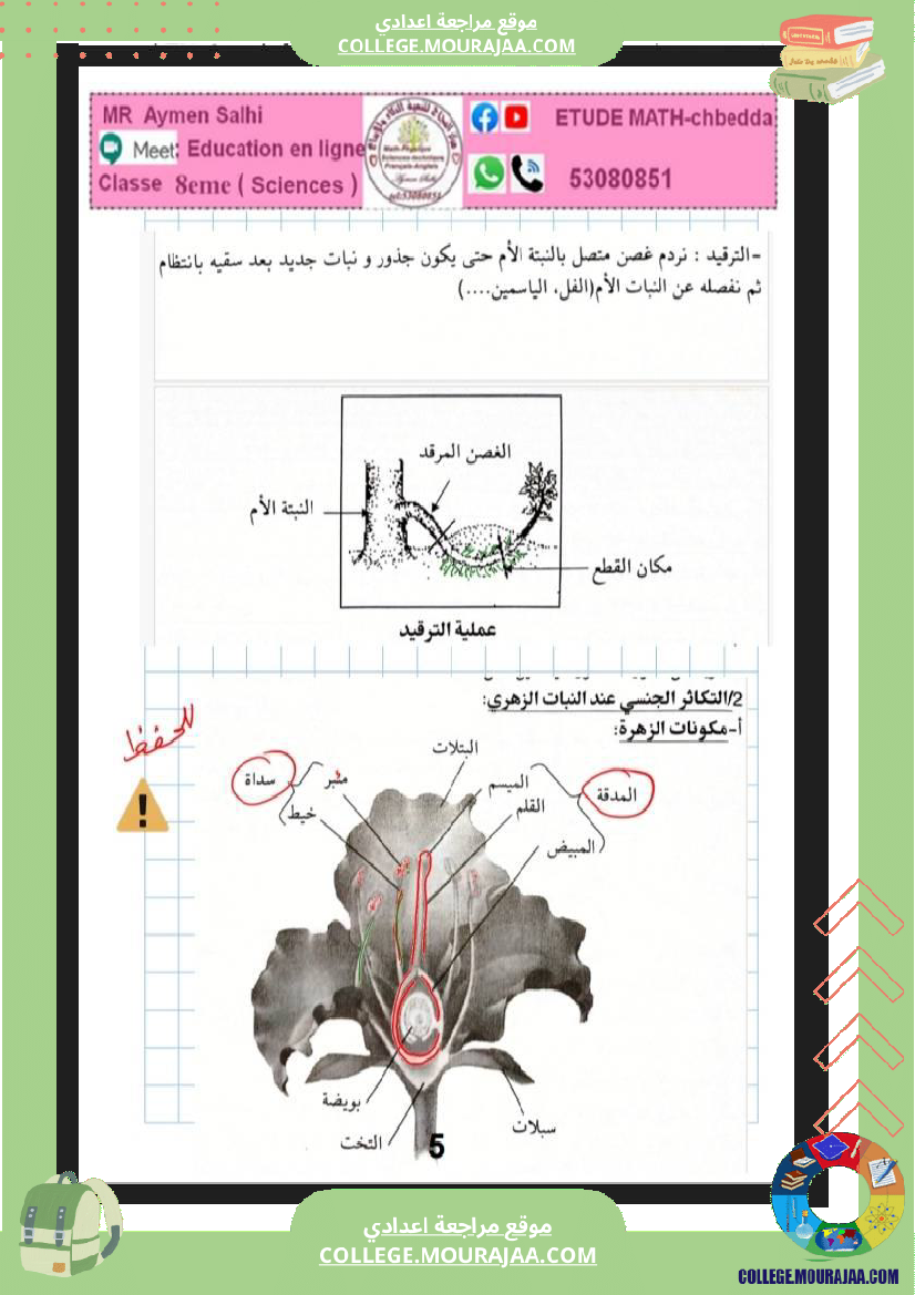علوم الحياة و الأرض الثامنة أساسي التغذية الكربونية التكاثر الخضري عند النبات الزهري