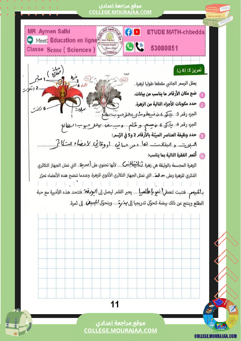 علوم الحياة و الأرض الثامنة أساسي التغذية الكربونية التكاثر الخضري عند النبات الزهري