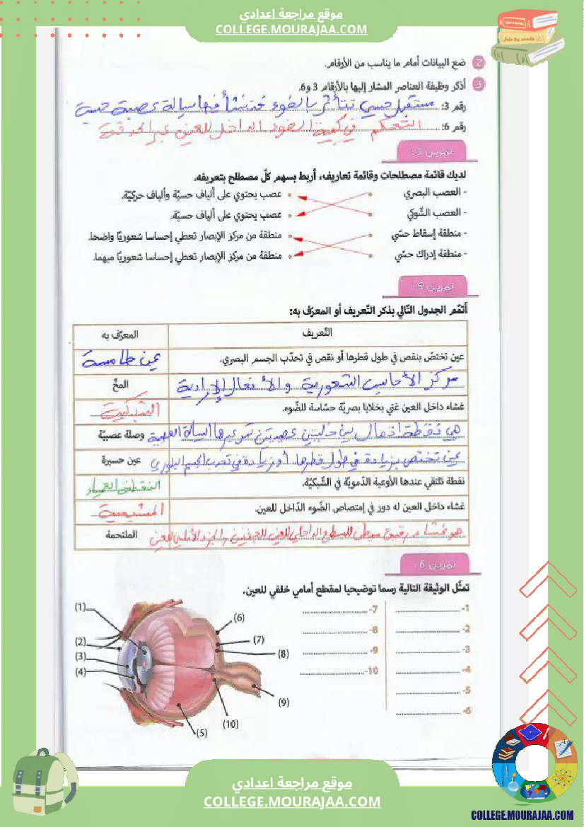 تاسعة_نموذجي_علوم_الحياة_و_الارض