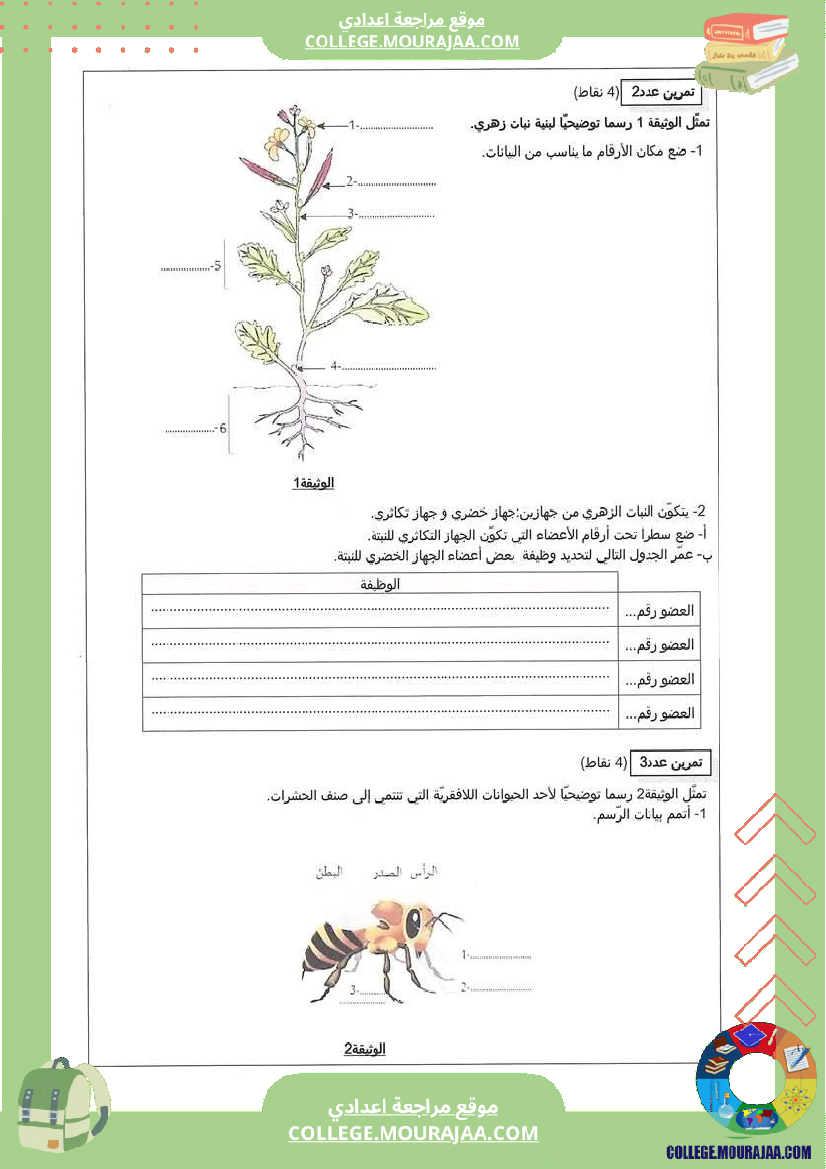 فرض تأليفي السابعة علوم الحياة و الارض الثلاثي الثاني