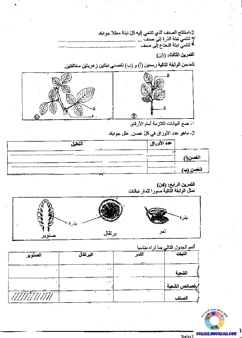 فرض تأليفي سنة السابعة في علوم الحياة و الارض الثلاثي الثالث