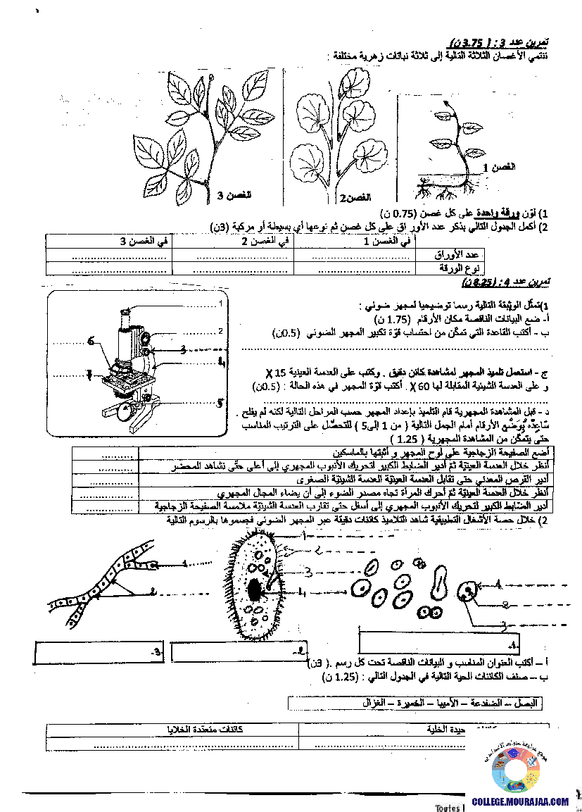 فرض تأليفي سنة السابعة في علوم الحياة و الارض الثلاثي الثالث