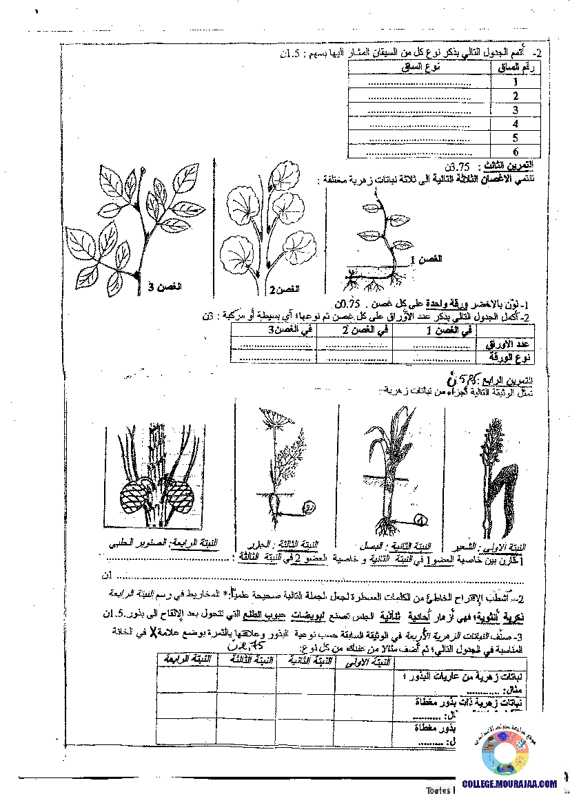 فرض تأليفي سنة السابعة في علوم الحياة و الارض الثلاثي الثالث