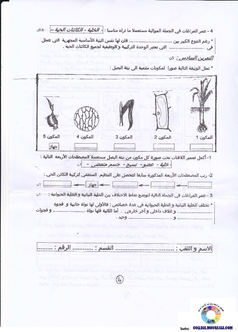 فرض تأليفي سنة السابعة في علوم الحياة و الارض الثلاثي الثالث
