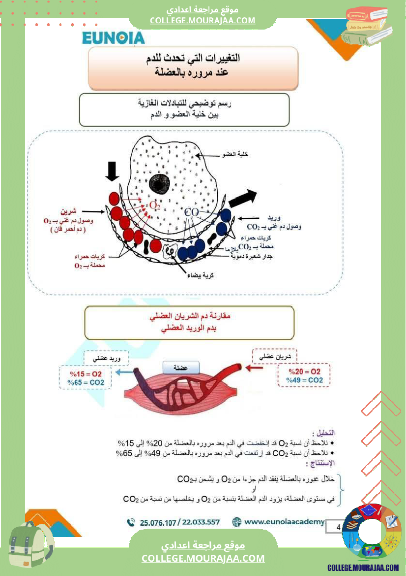 ملخص_درس_التنفس_علوم_الحياة_والأرض_السنة_التاسعة