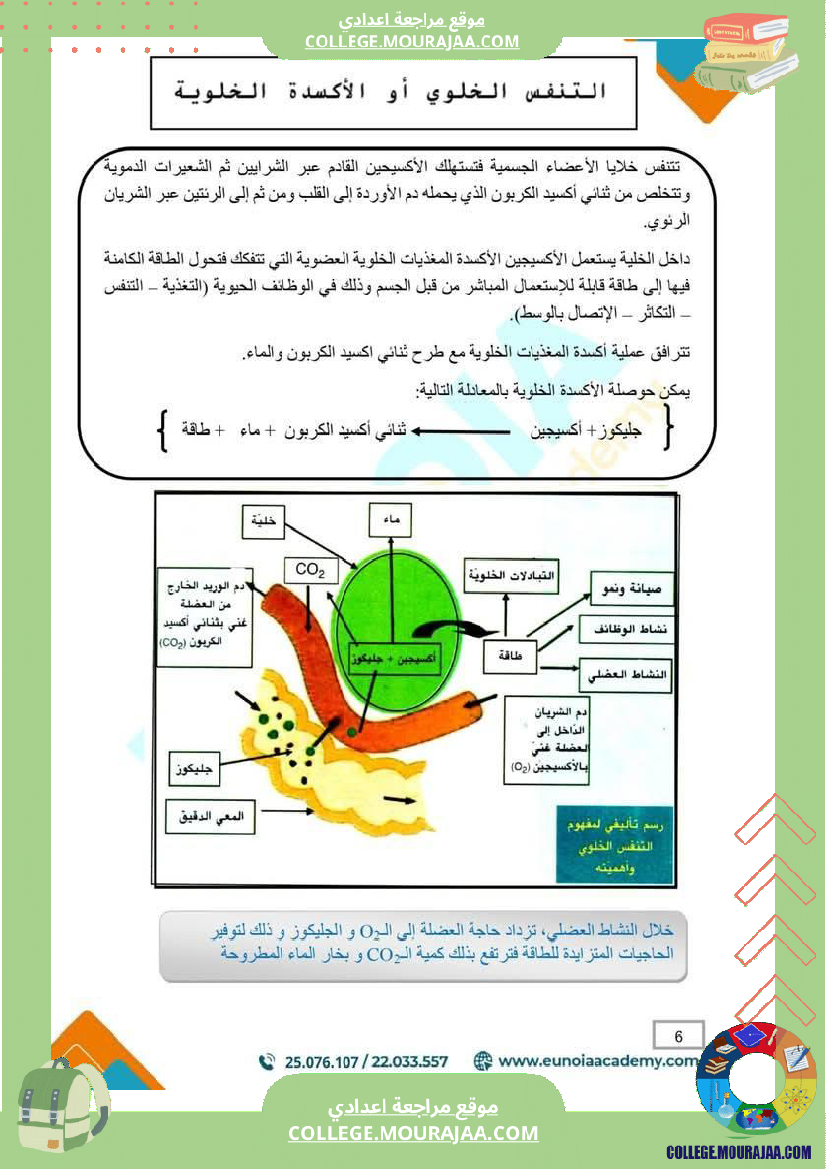 ملخص_درس_التنفس_علوم_الحياة_والأرض_السنة_التاسعة