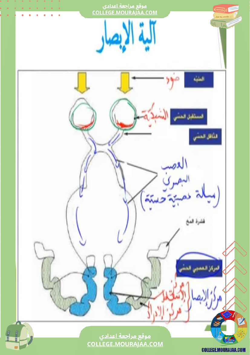 تلخيص_مادة_علوم_الحياة_والأرض_للسنوات_التاسعة_محور_بالعين