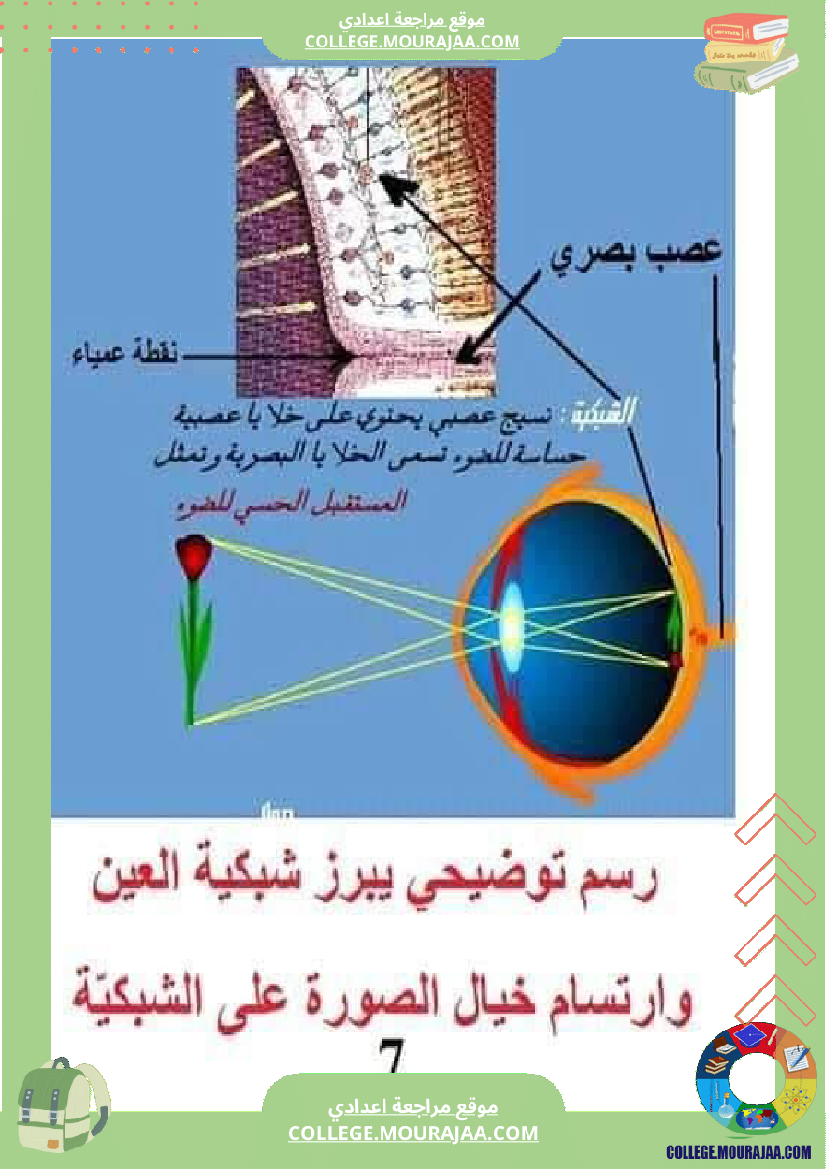 تلخيص_مادة_علوم_الحياة_والأرض_للسنوات_التاسعة_محور_بالعين