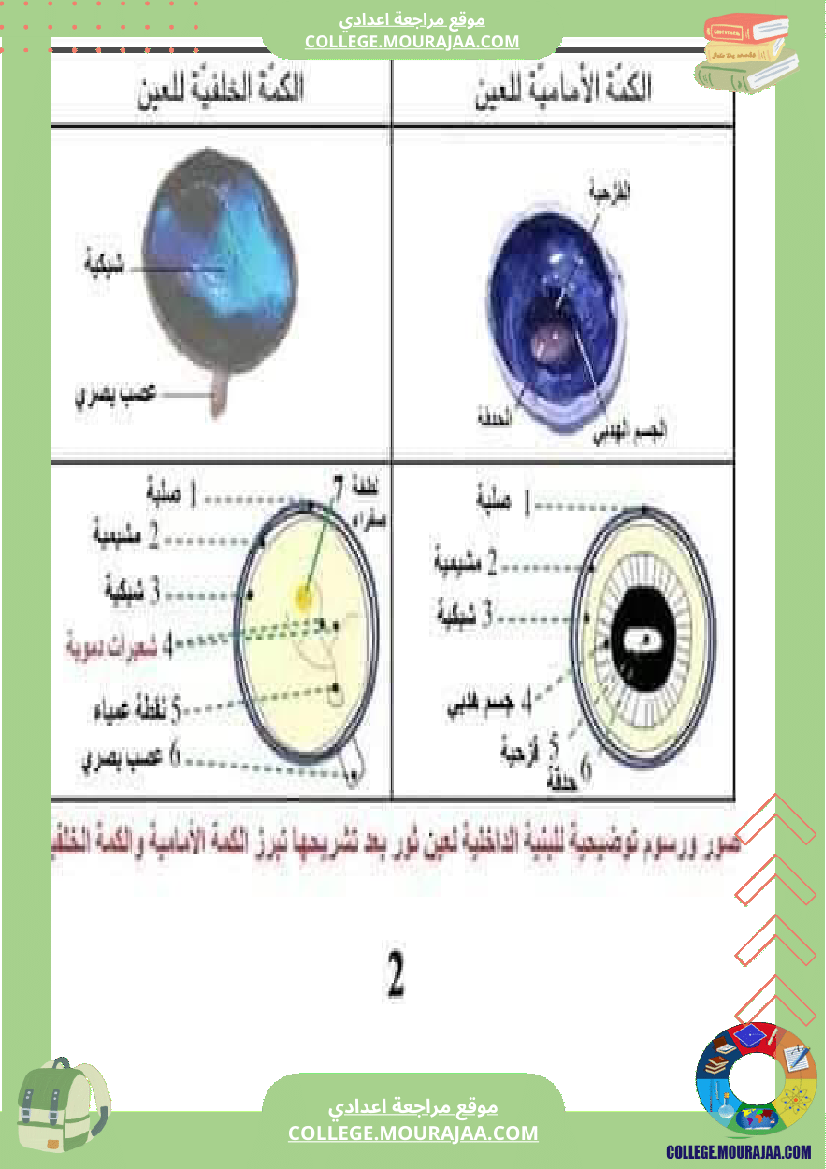 تلخيص_مادة_علوم_الحياة_والأرض_للسنوات_التاسعة_محور_بالعين