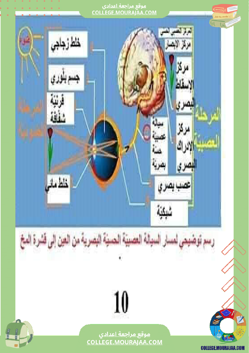 تلخيص_مادة_علوم_الحياة_والأرض_للسنوات_التاسعة_محور_بالعين