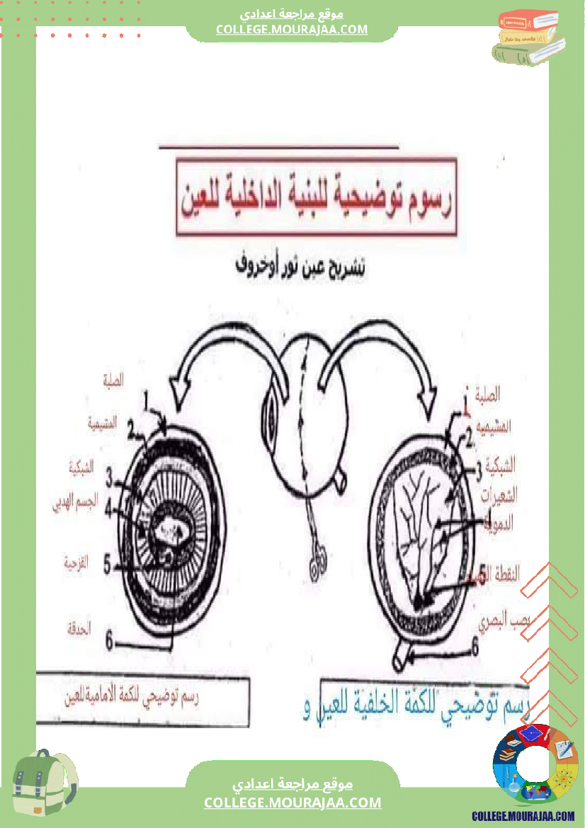 تلخيص_مادة_علوم_الحياة_والأرض_للسنوات_التاسعة_محور_بالعين