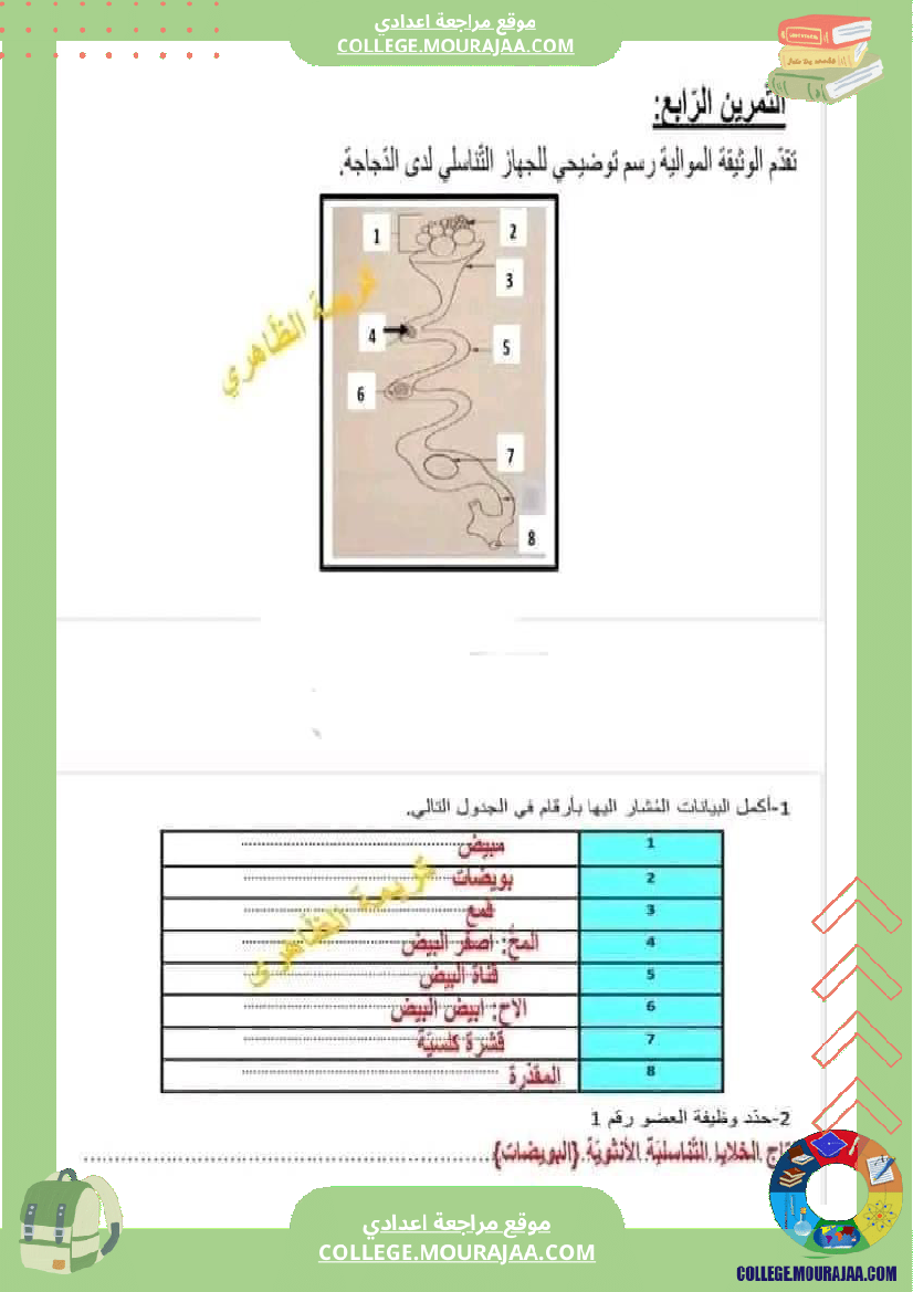 فرض_مراقبة_الثامنة_في_علوم_الحياة_و_الارض_الثلاثي_الثالث