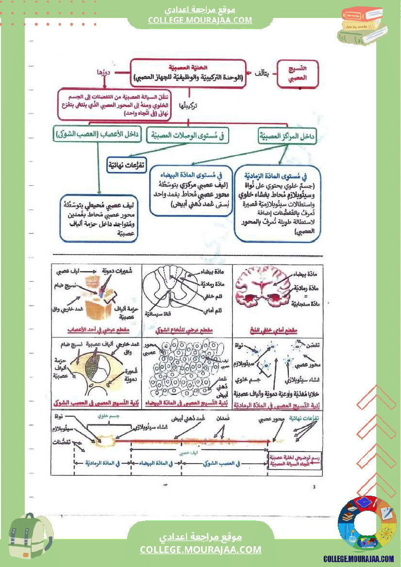 فرض_مراقبة_سنة_التاسعة_علوم_الحياة_و_الارض_الثلاثي_الثالث