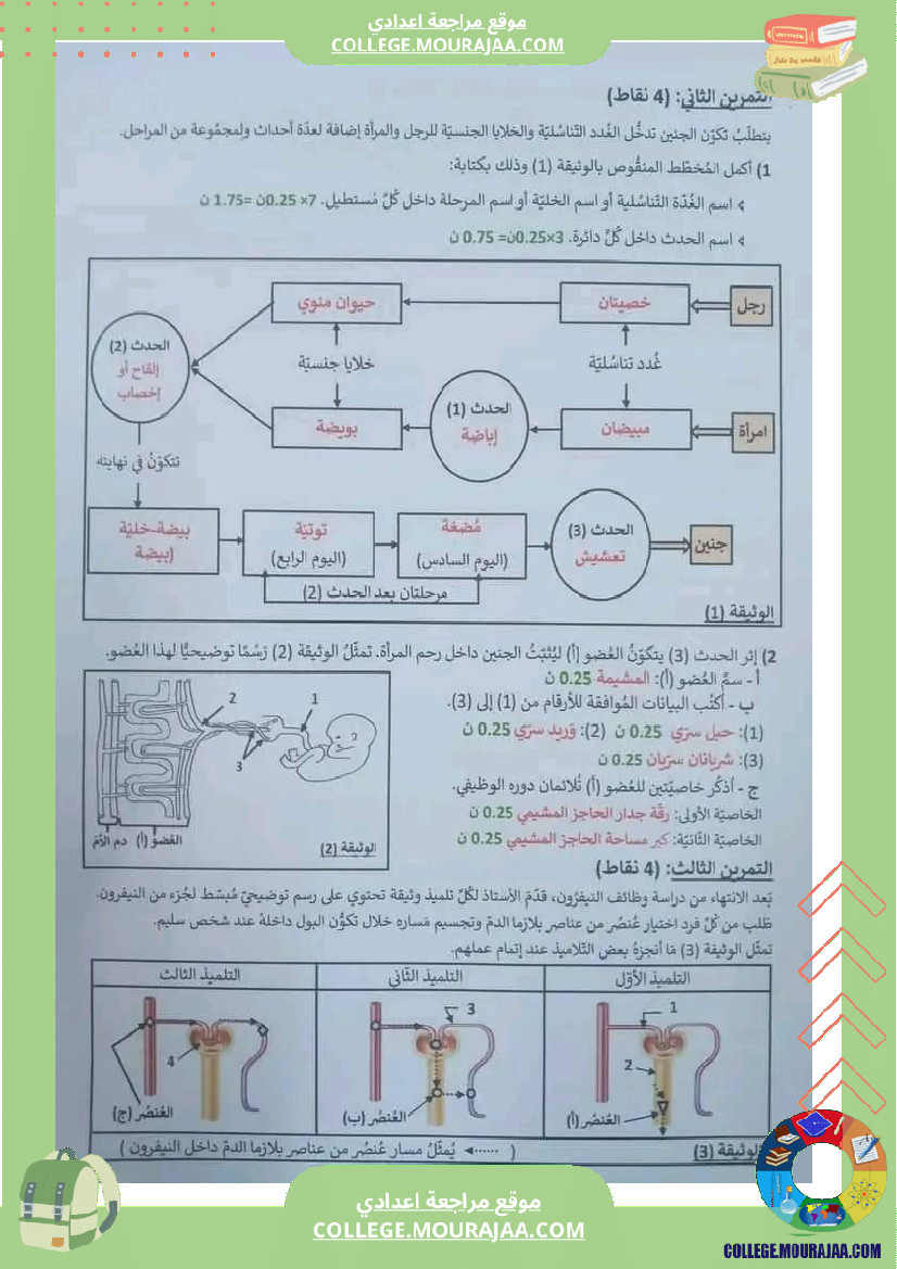فرض_تأليفي_الثلاثي_3_التاسعة_علوم_الحياة_و_الارض