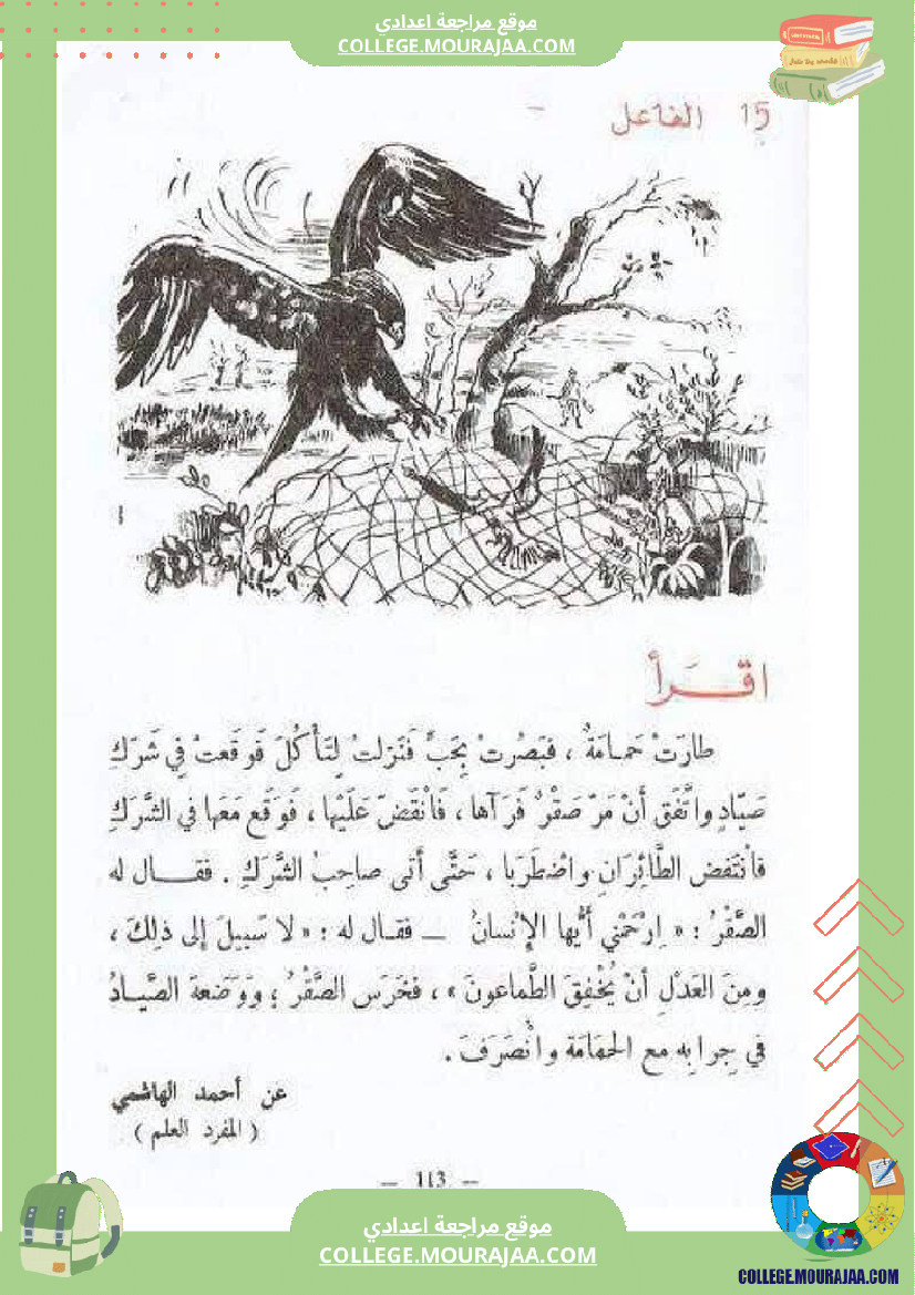 النحو_العربي__للغة_العربية_و_الريشة