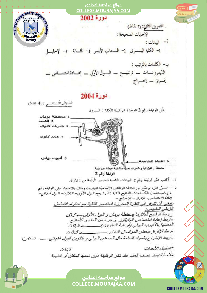 الإخراج_البولي_في_برنامج_السنوات_التاسعة