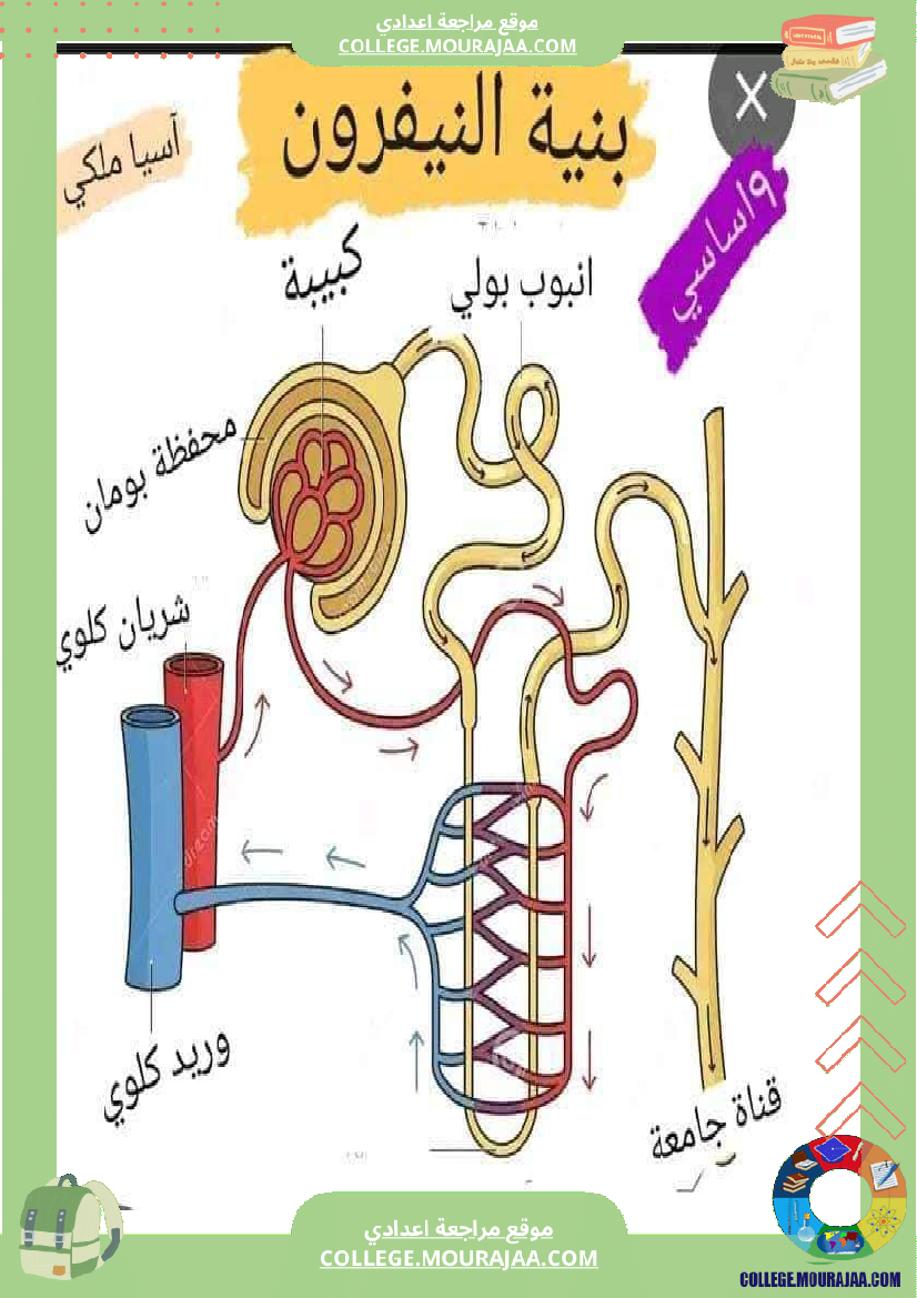 التاسعة_أساسي_علوم_الحياة_و_الارض_وظيفي_ة_الاخراج