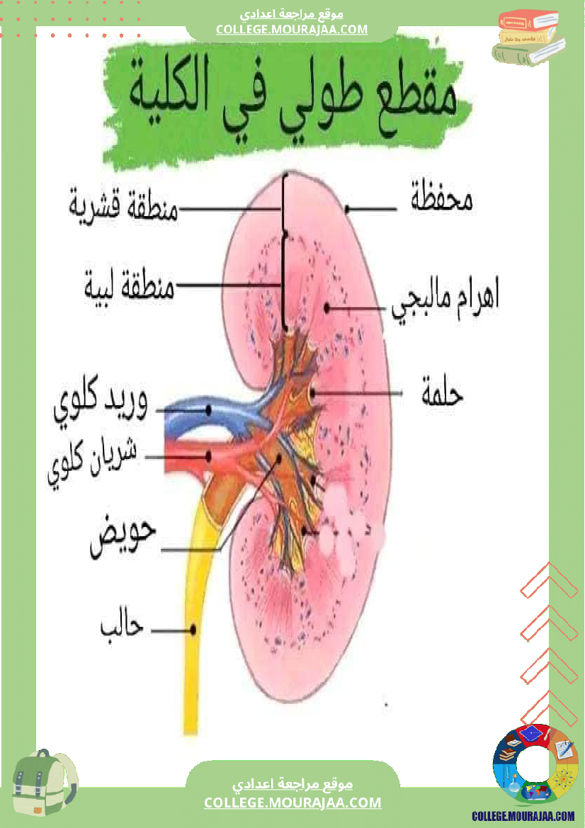 التاسعة_أساسي_علوم_الحياة_و_الارض_وظيفي_ة_الاخراج